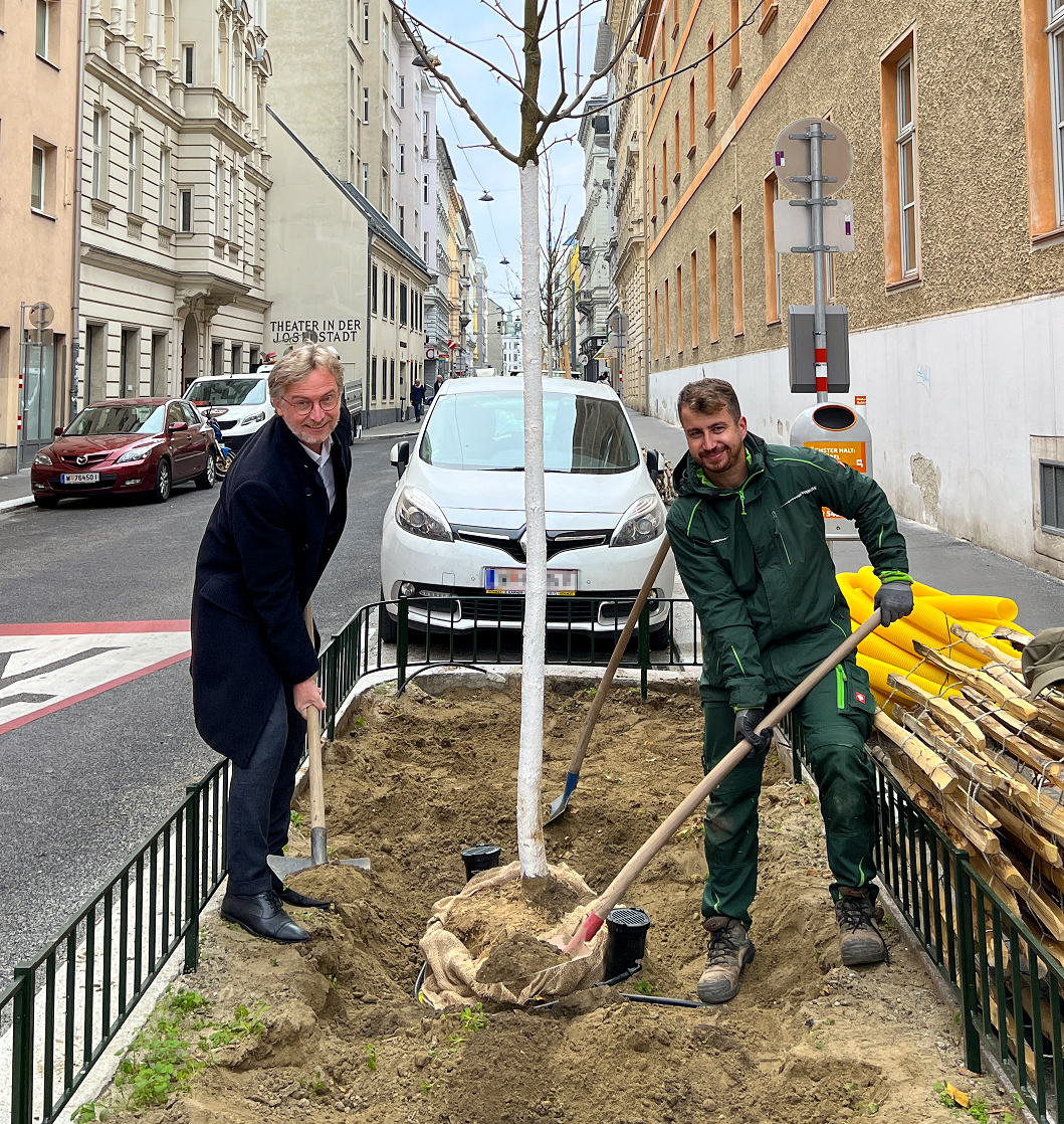 Josefstadt steht eine blühende Zukunft bevor