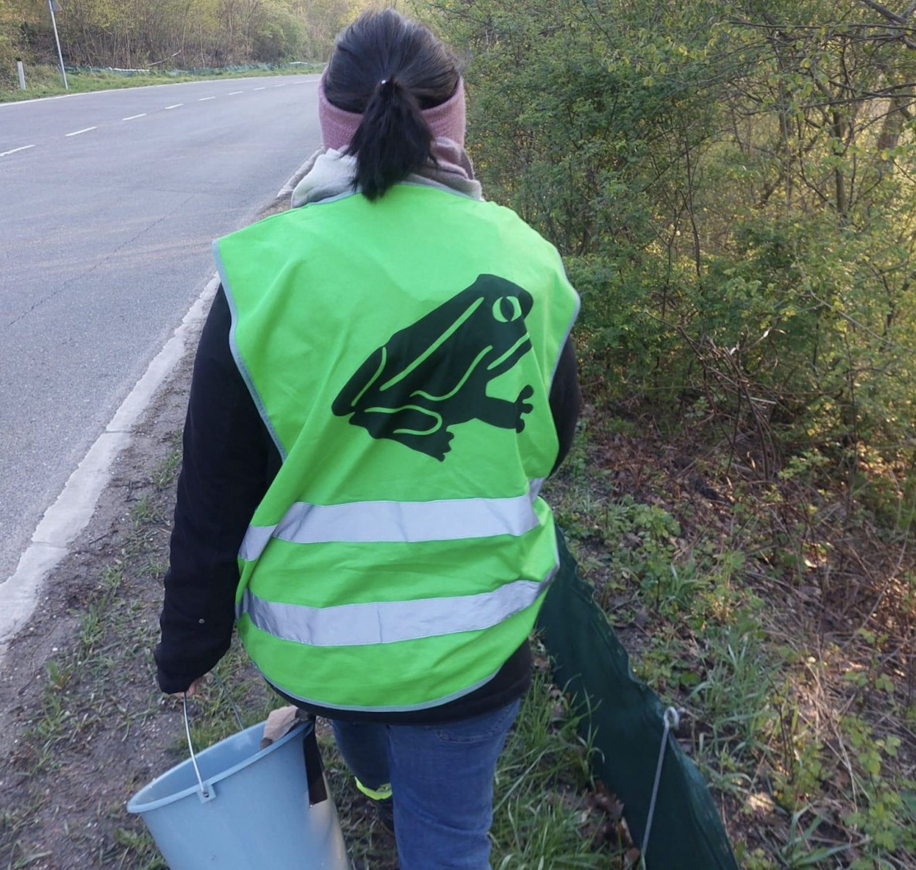 Schutzprojekt für  Amphibien sucht freiwillige Helfer
