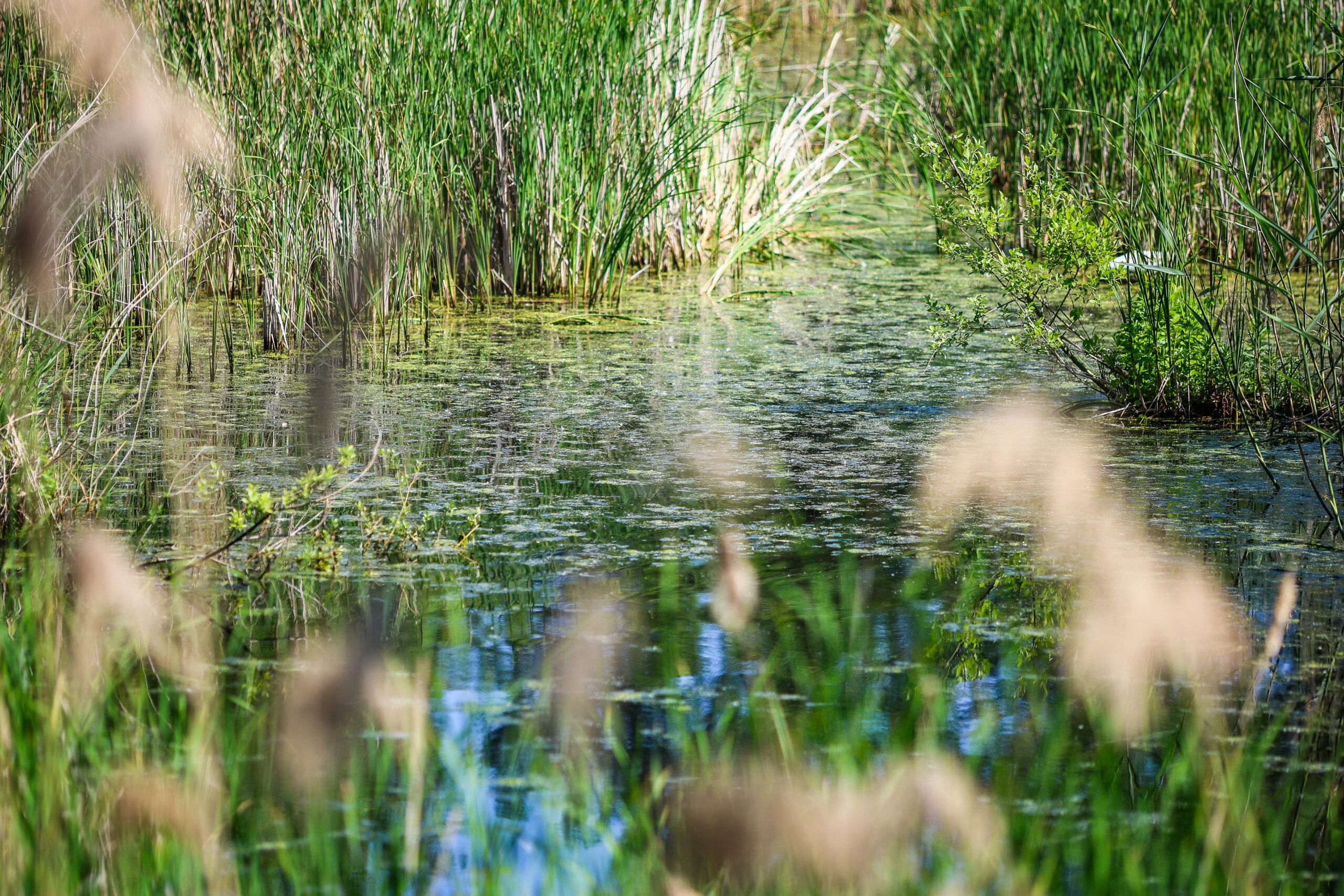 Viel Wissenswertes über das Wasser im Wienerwald