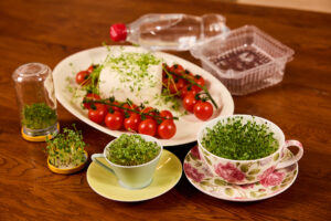 Selfmaid-Serie Teil 31: Sprossen ziehen