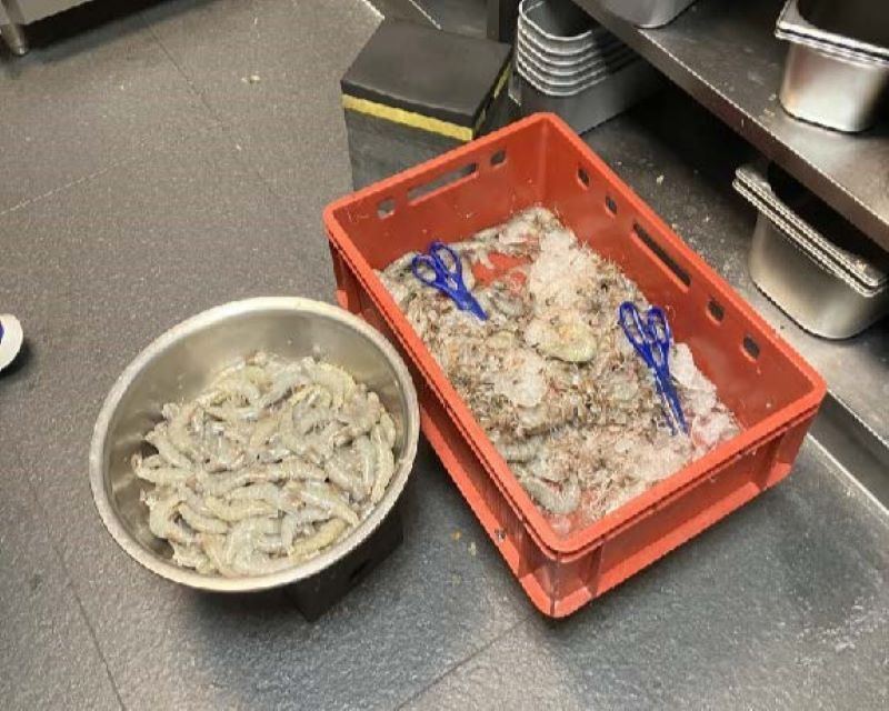 Restaurant wegen Kakerlaken geschlossen