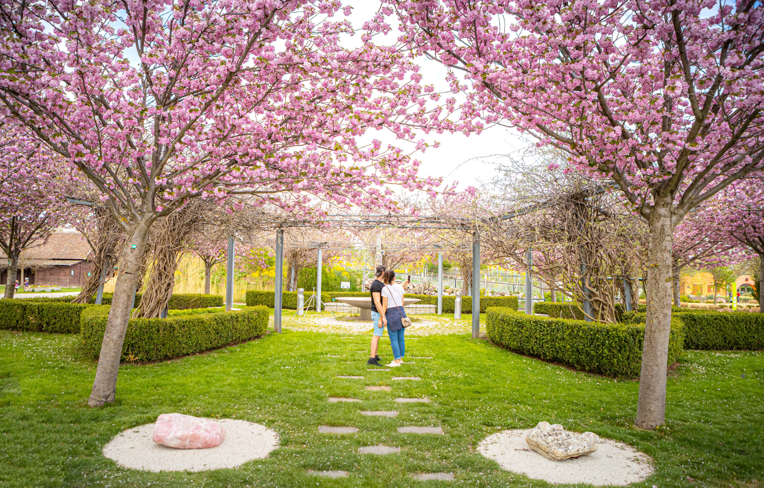 Saisonstart in den Blumengärten Hirschstetten!