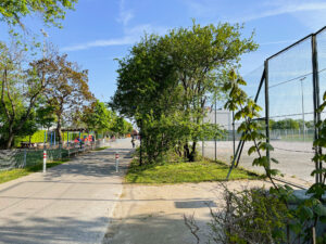 ASKÖ-Freifläche auf der Schmelz: Jetzt wird’s ernst!