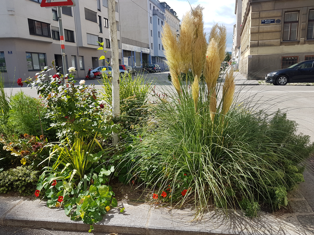 Ottakring: Viele nützliche Tipps zum “Garteln”