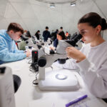 Schüler Mikroskop