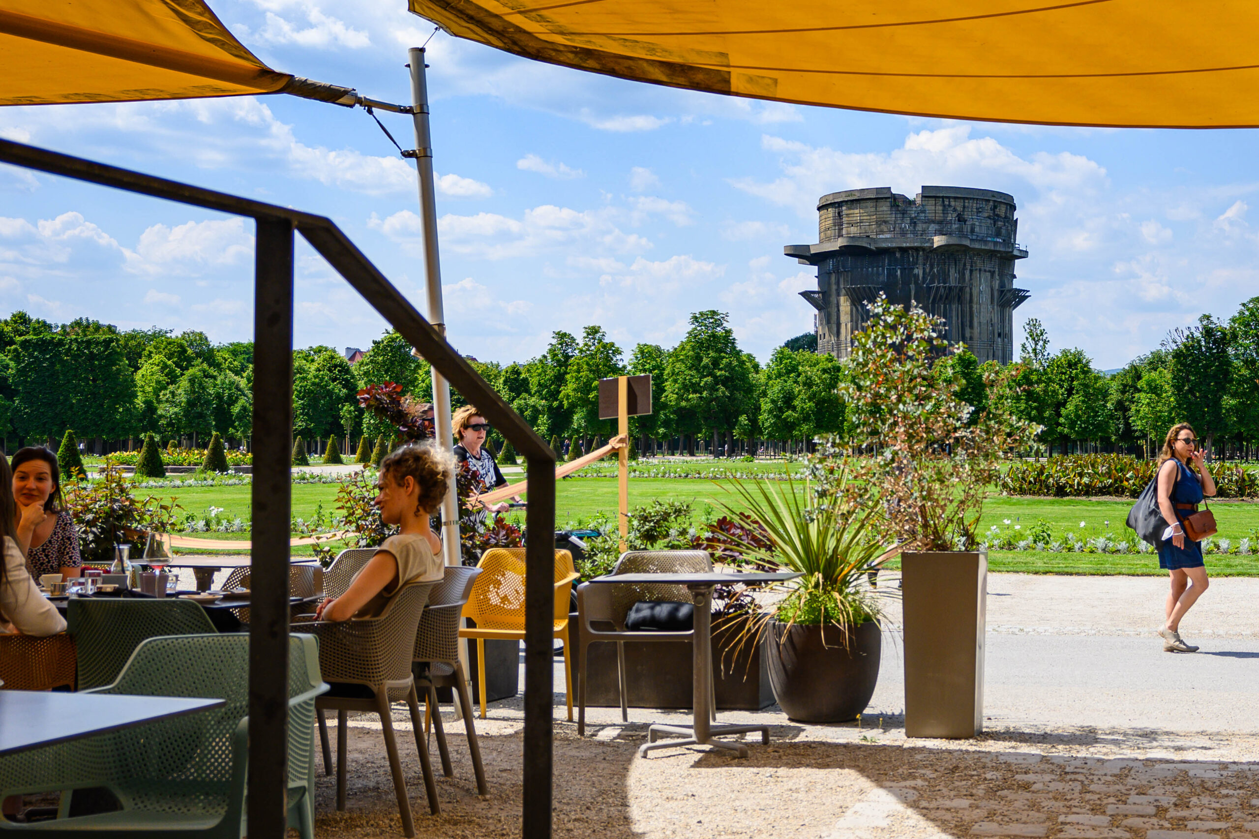 Sperling im Augarten