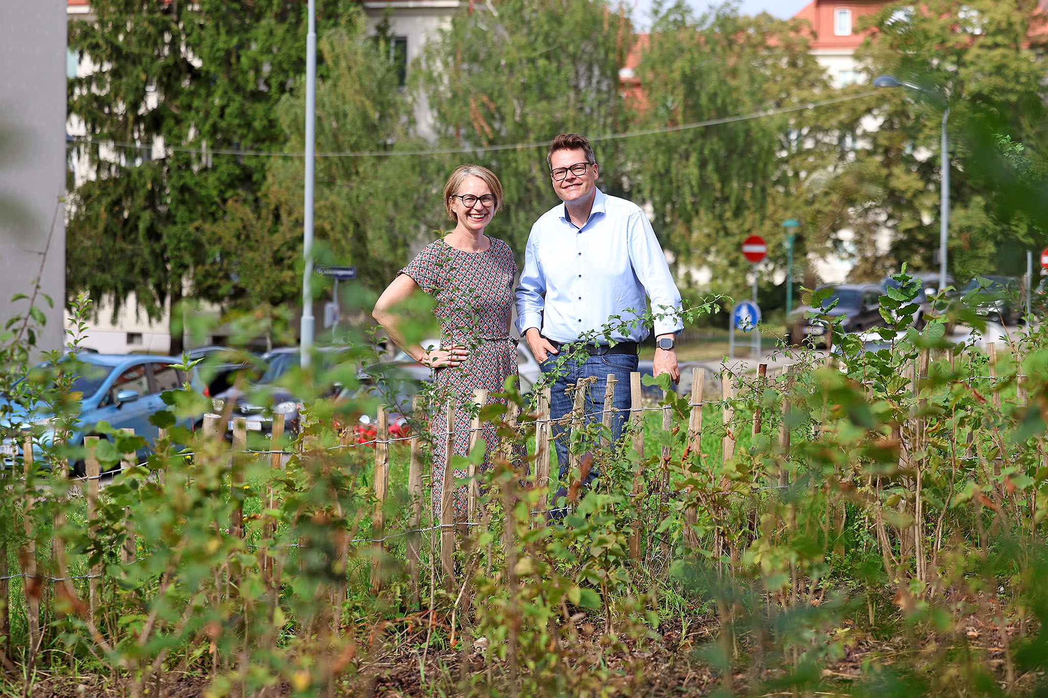 Grüne Oasen: Mini-Wälder erobern die Stadt