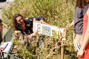 Lehrpfad der Artenvielfalt: Urbanes Garteln entdecken