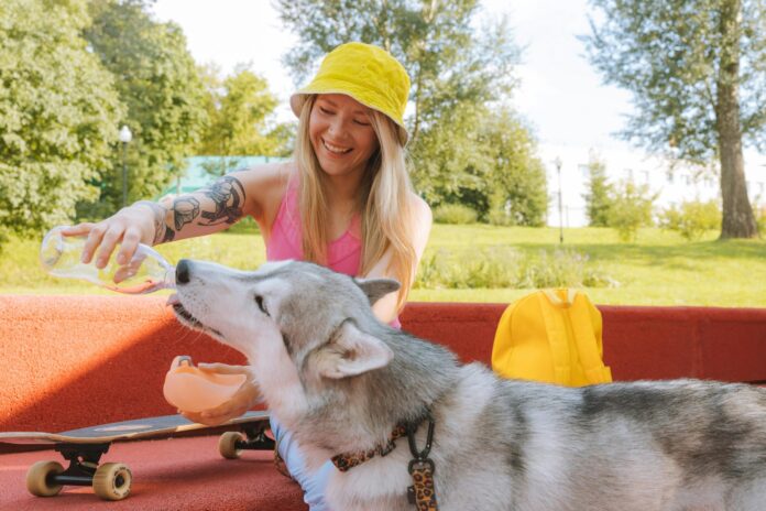 Mädchen im Schattten versorgt Hund mit Wasser