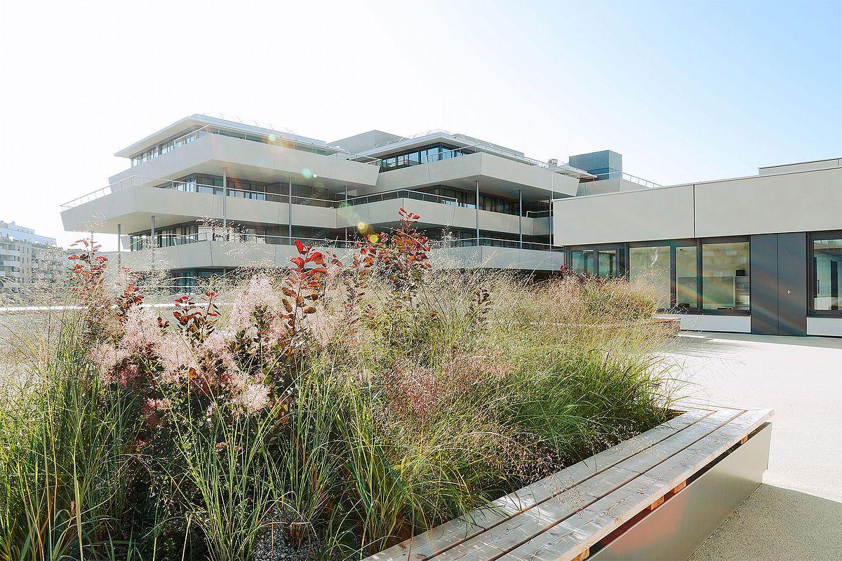 Vorbildlich: Aron-Menczer-Campus erzeugt Sonnenstrom