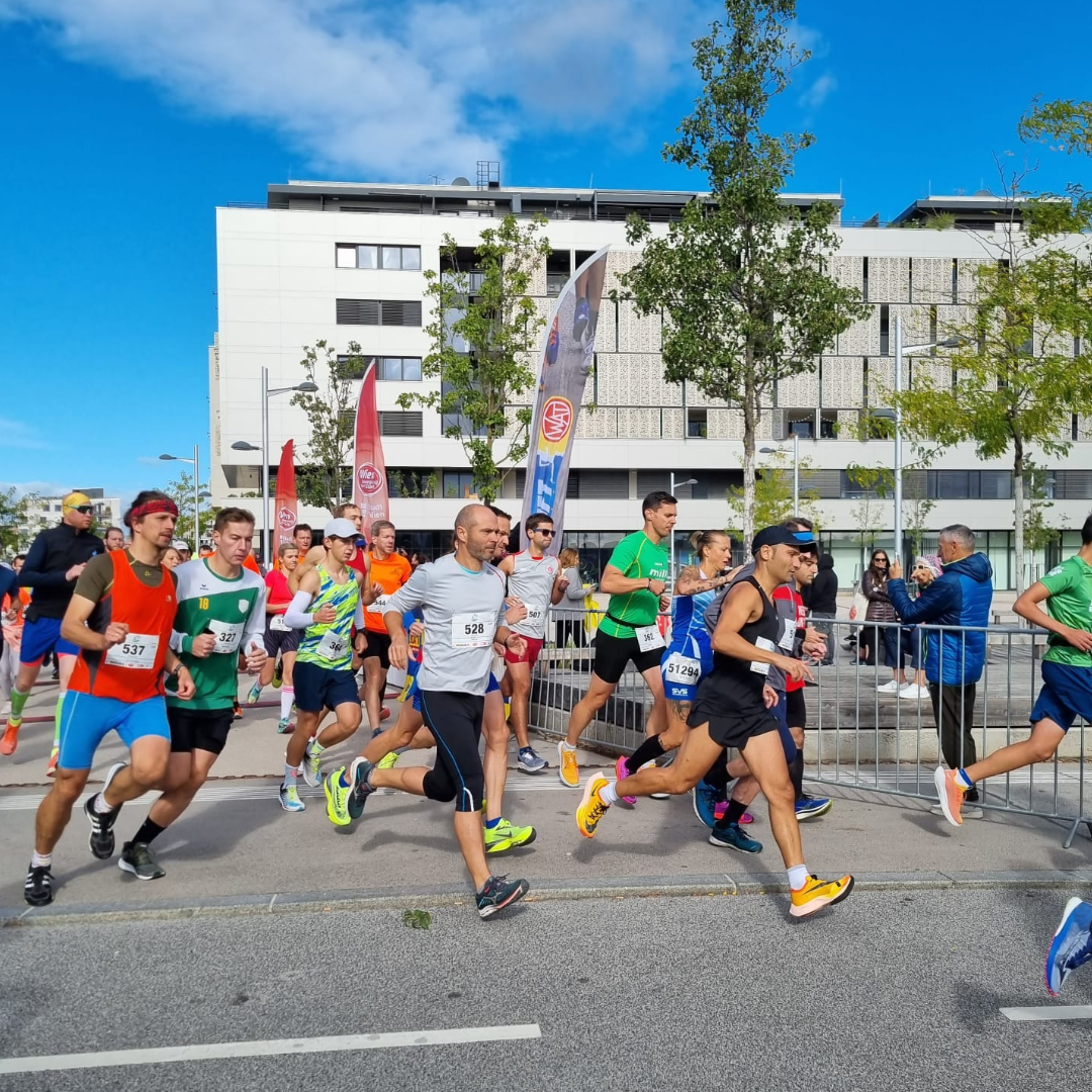 Seestadtlauf: Laufen und Walken mit der ganzen Familie