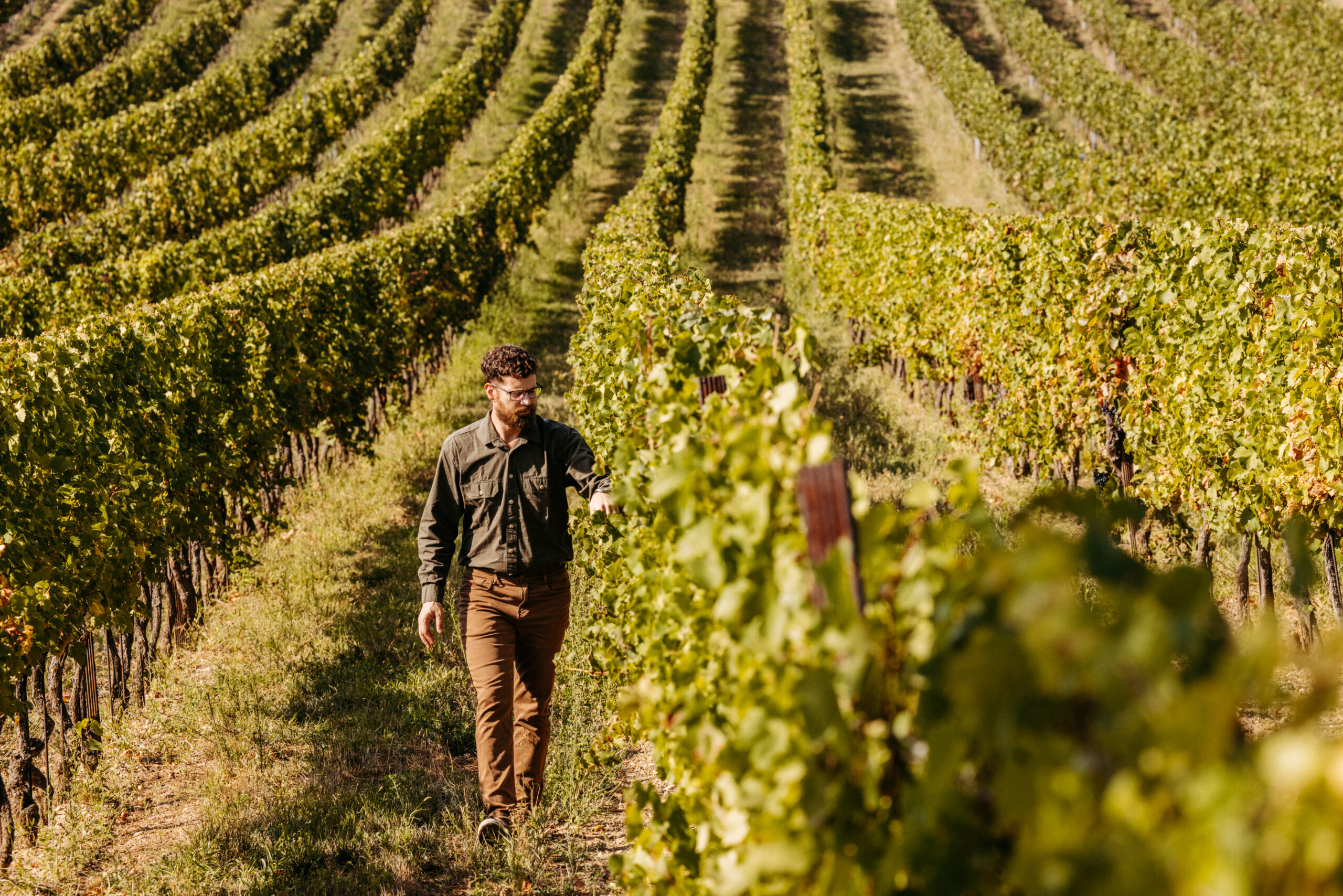 Martin Steiner: Ein kleines Weingut mit großer Leidenschaft