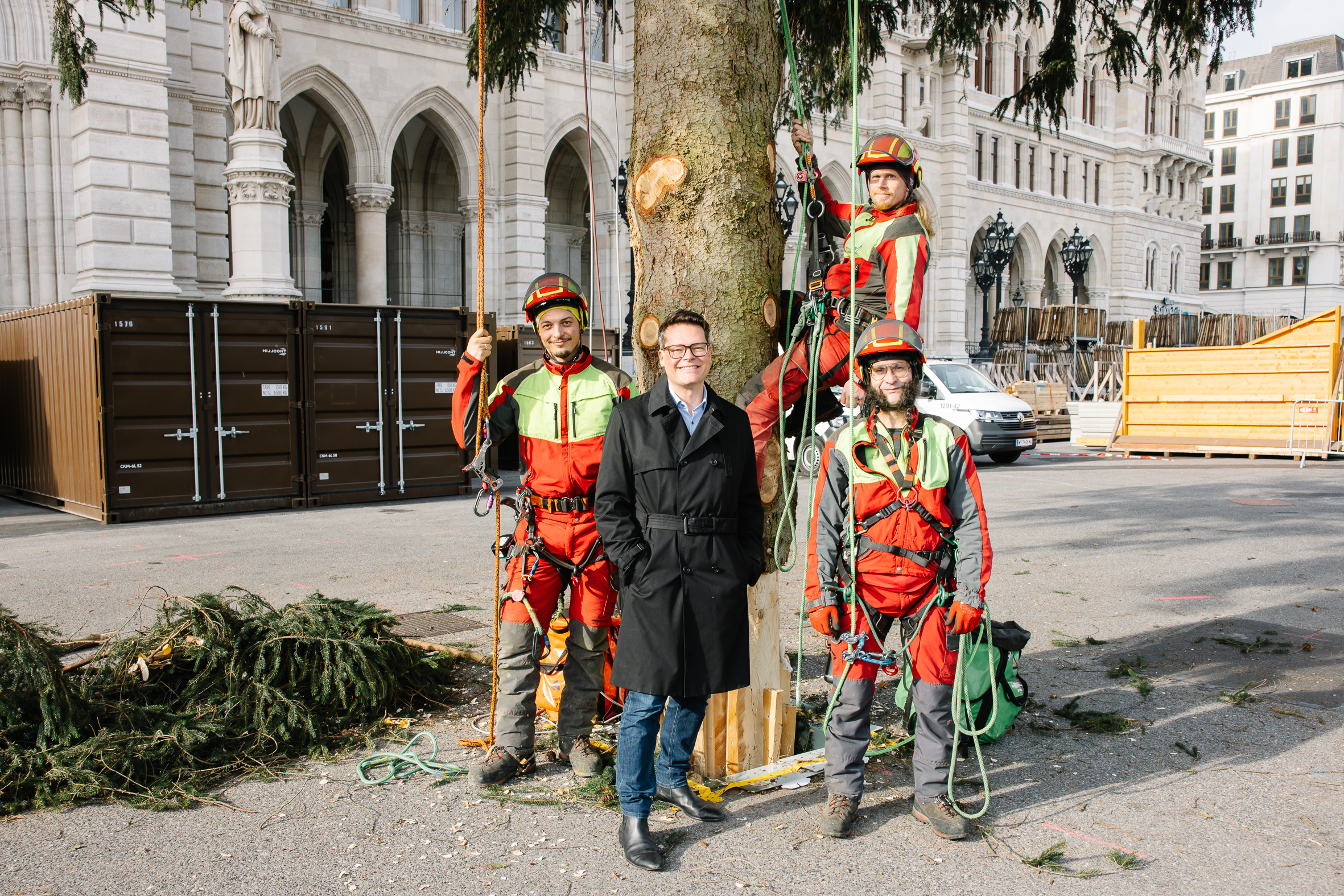 Christbaum-Check: Baumpflege läuft auf Hochtouren