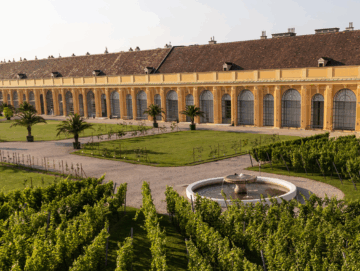 Tourismus-Boom: Aus welchen Ländern die Wien-Gäste kommen