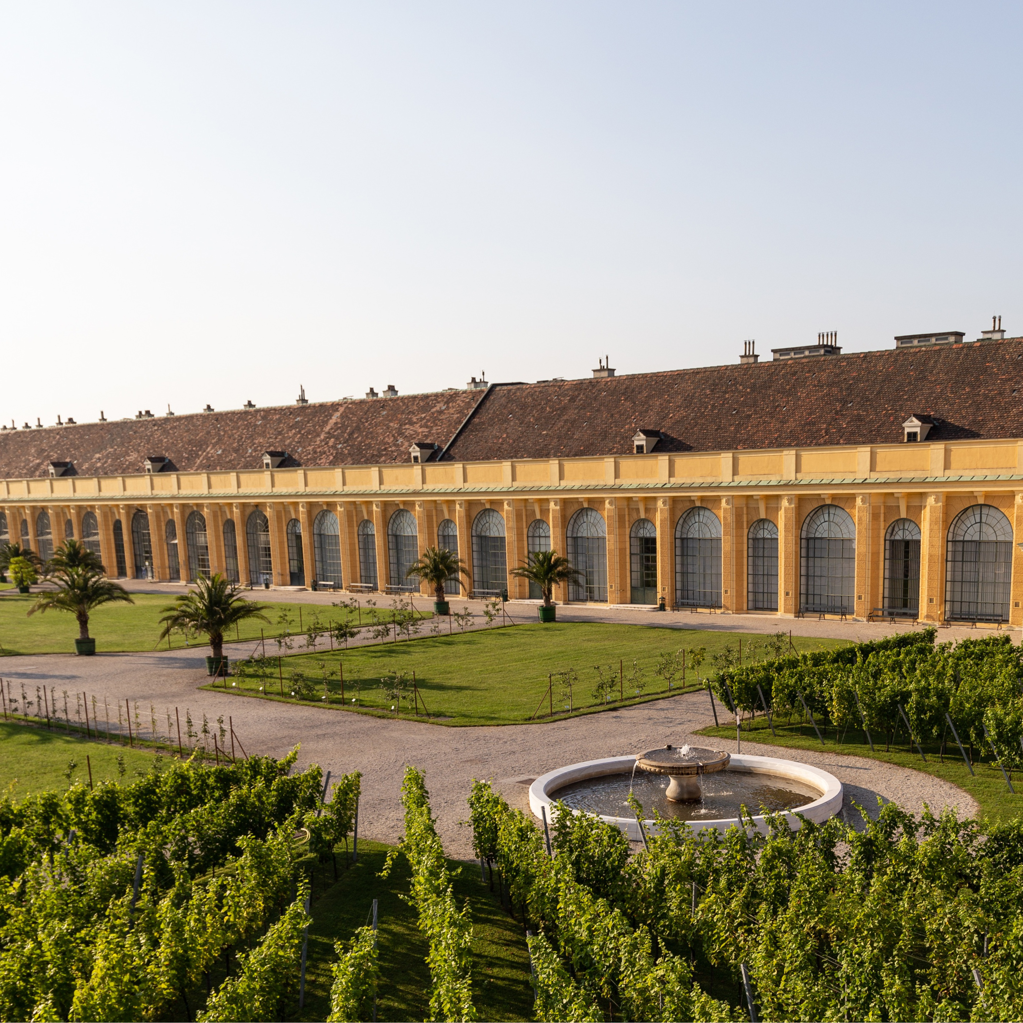 Beauty-Alarm in Schönbrunn: Entdecke die Trends der Saison!