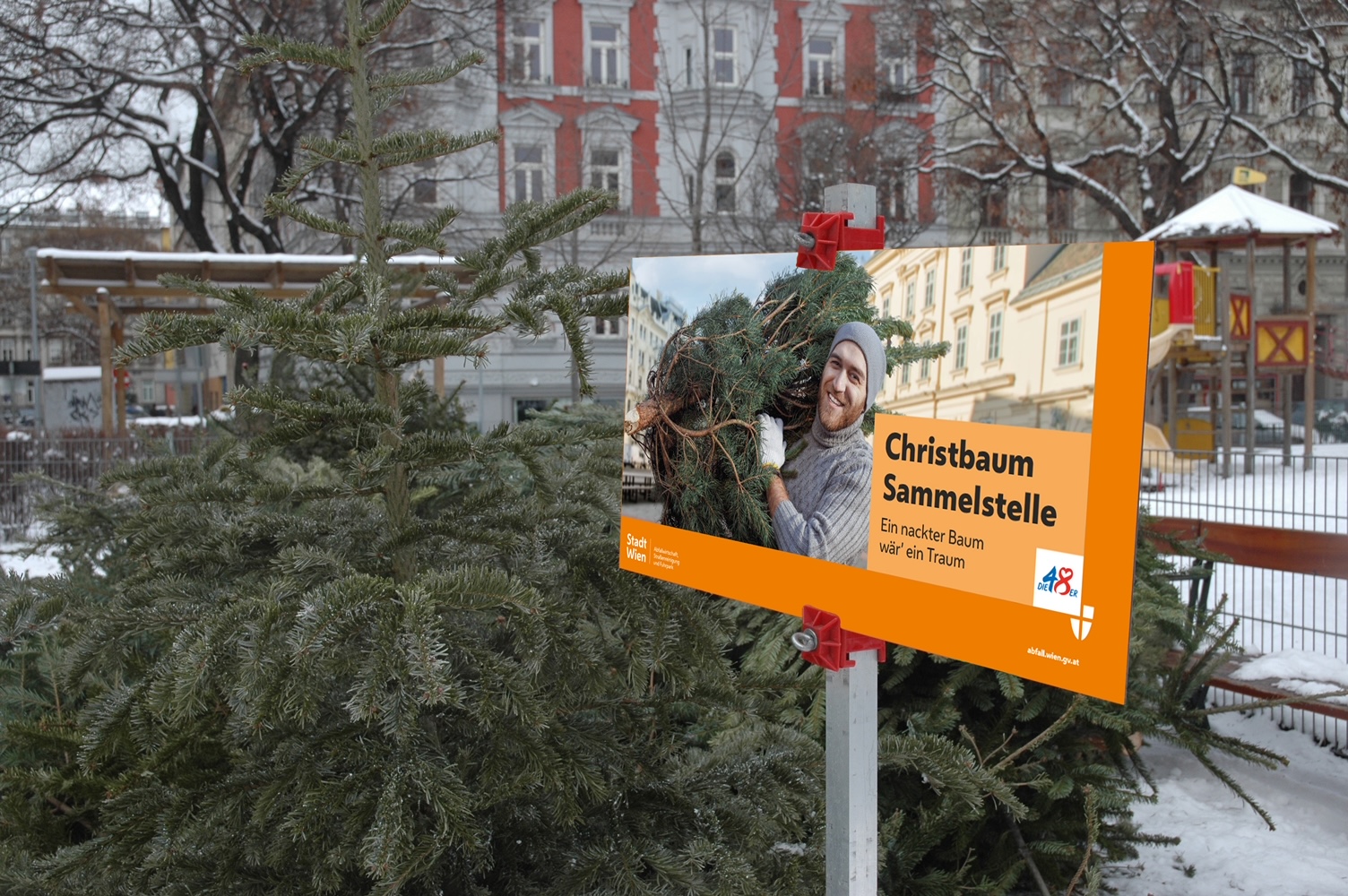 Strom und Wärme: Die Christbäume sinnvoll verwerten