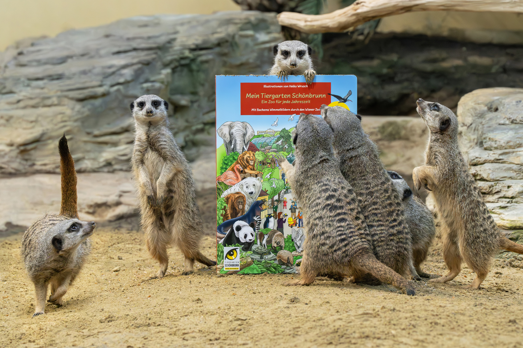 Für Kinder: Die schönsten Seiten des Tiergarten Schönbrunn