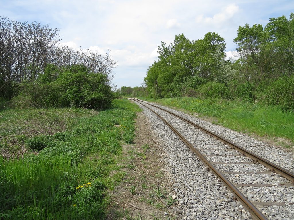 Finanzierung für Naturschutz-Areal Breitenlee gesichert