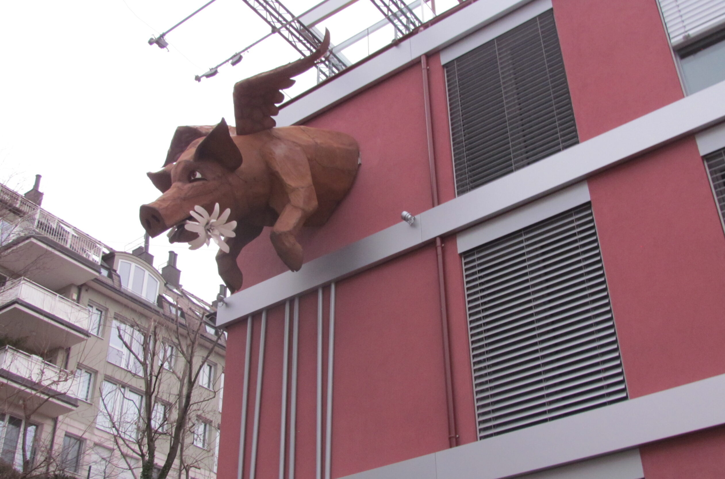 Ein fliegendes Schweinderl erfreut Währing