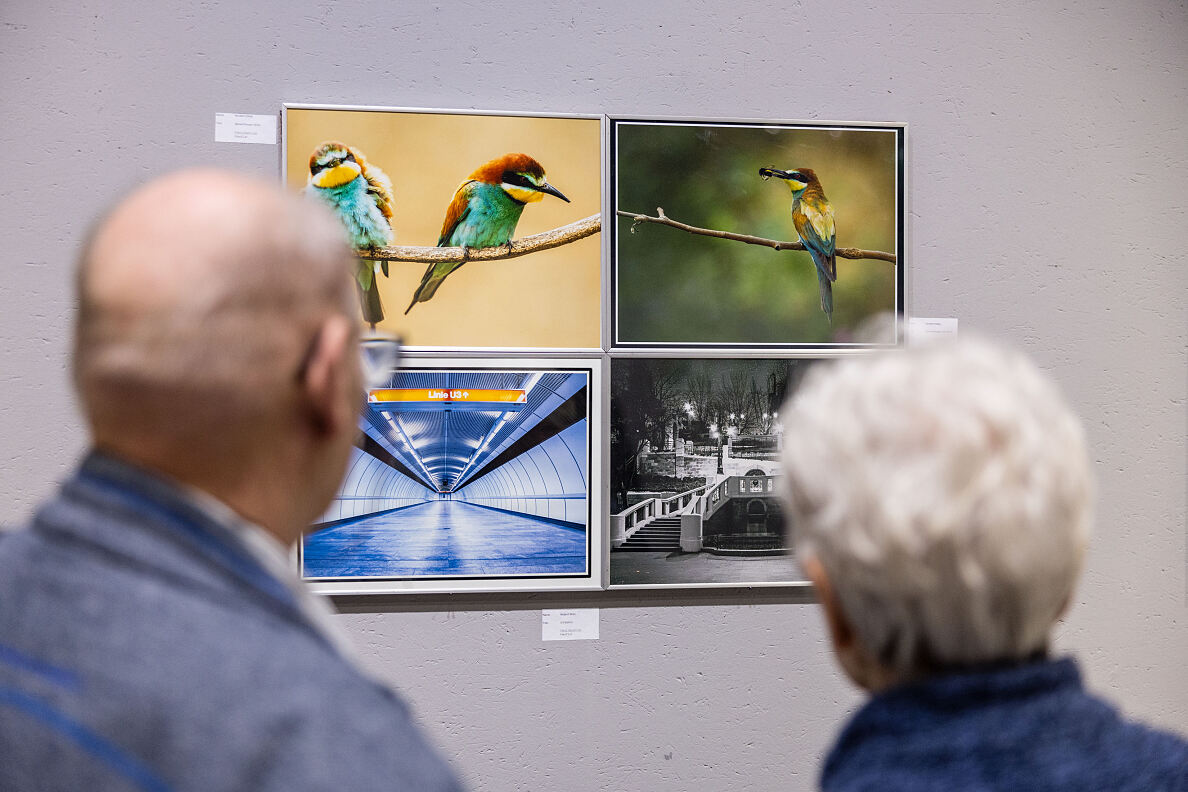 Blick durch die Linse: Fotoklub Naturfreunde 11 feiert Jubiläum