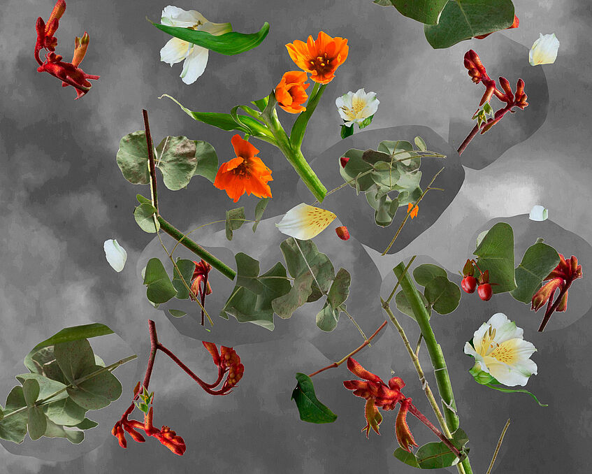 Worte zwischen Blättern: Literatur im Botanischen Garten