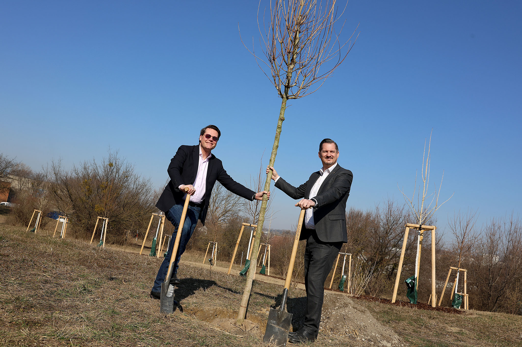 Neue Bäume auf dem Wasserbehälter in Unterlaa