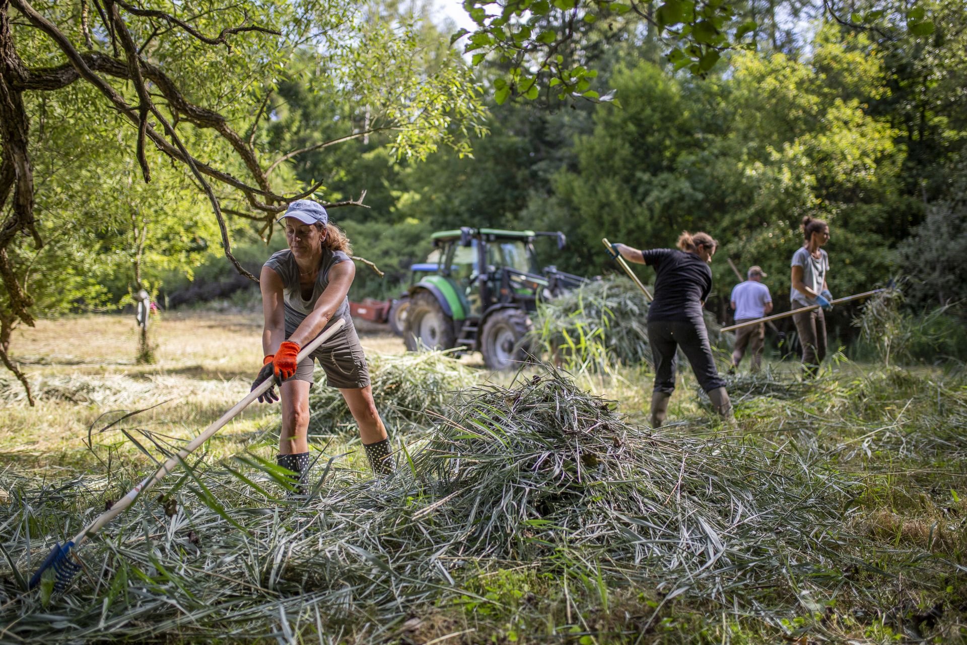Biosphere Volunteer:  Gemeinsam die Landschaft pflegen