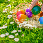 child collects colored eggs in a spring meadow with daisies.Easter Egg Hunt. Easter holiday tradition. Childs hand puts colorful eggs in a wicker basket.Spring religious holiday.