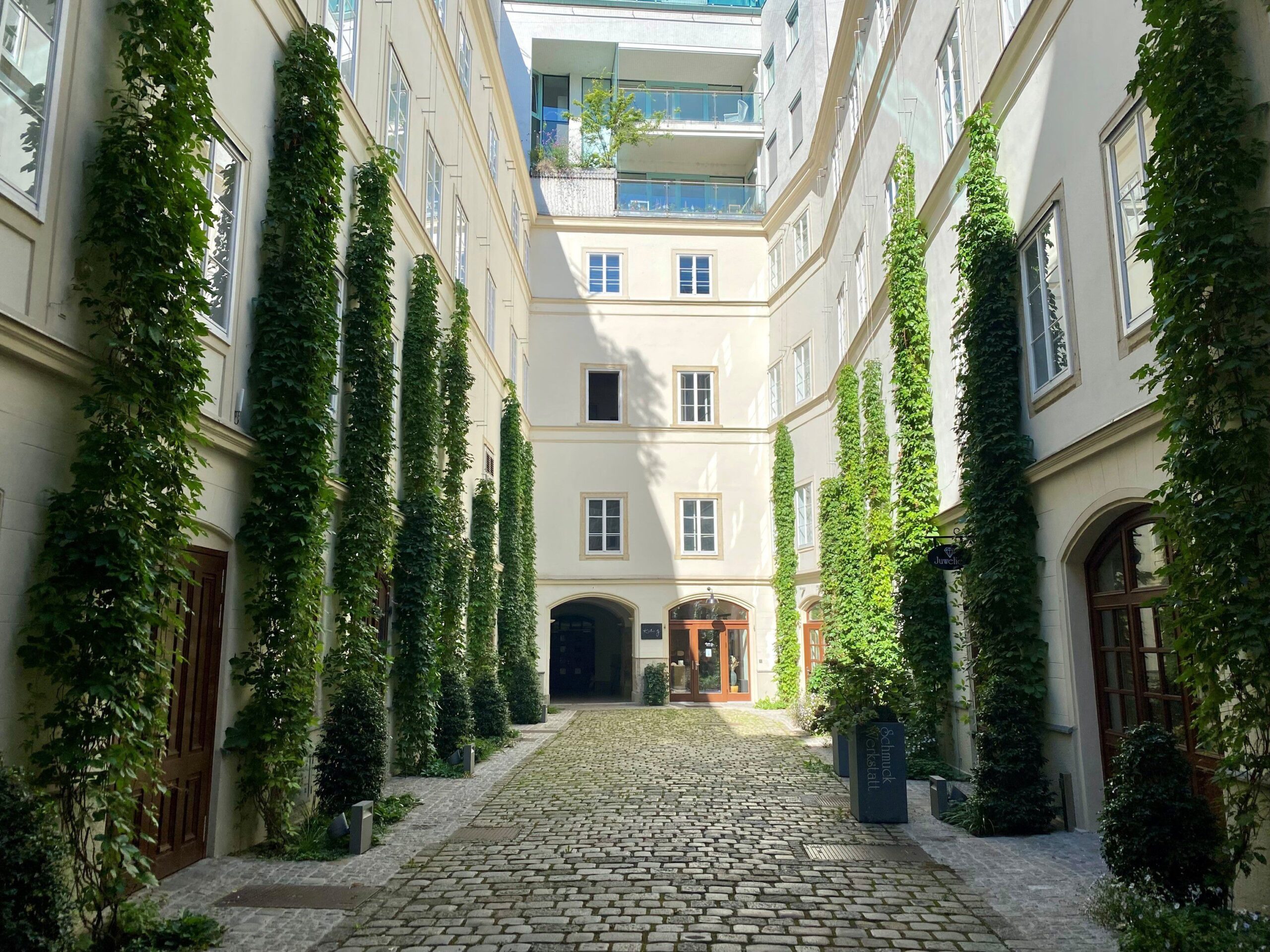 Kostenlose Beratung: Es grünt so grün, wenn die Fassaden blühen