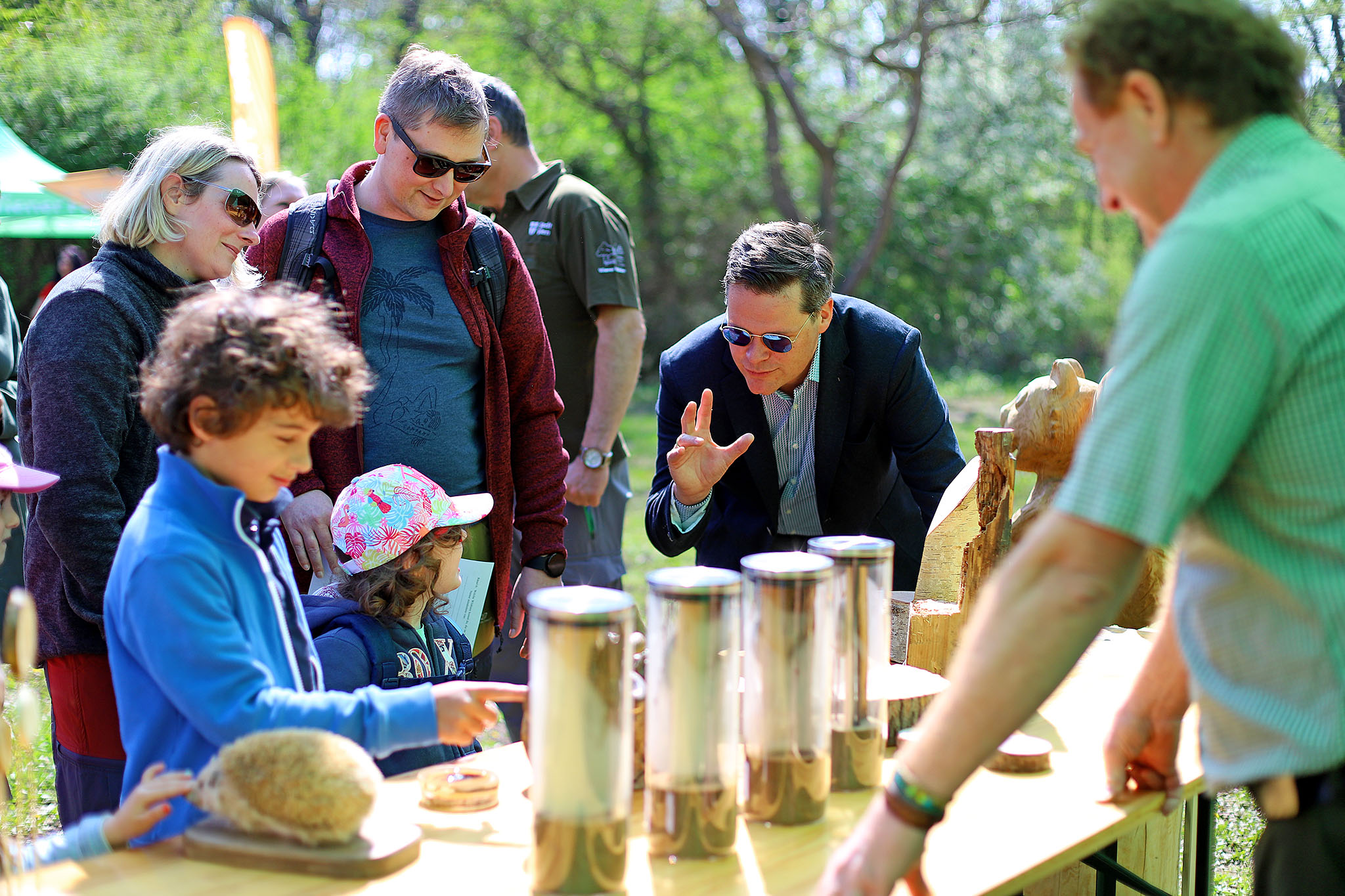 Im Lainzer Tiergarten wird jetzt der Frühling gefeiert