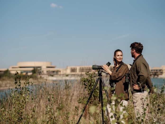 Seewinkel Safari