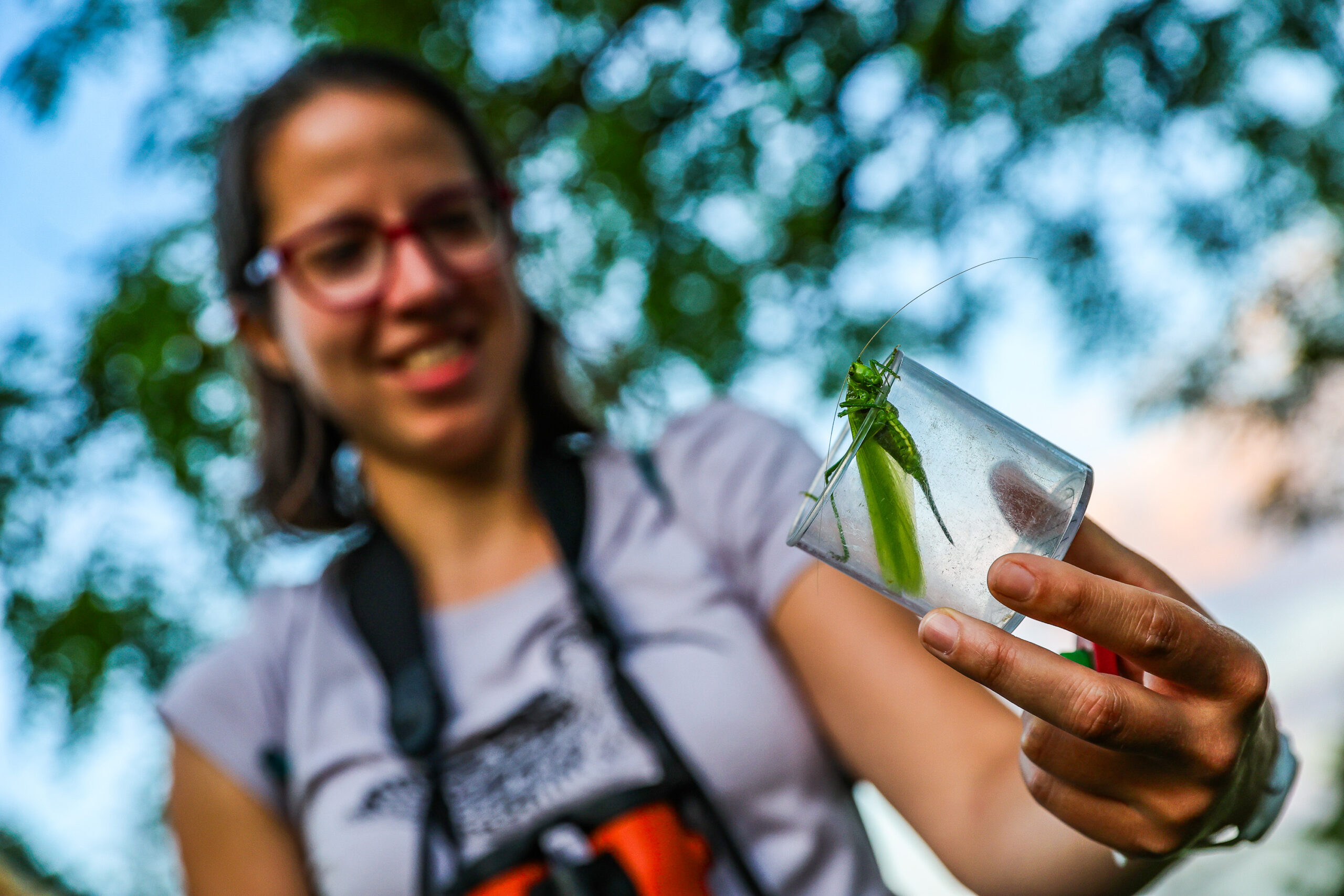 Jubiläum: Tolles Programm im Biosphärenpark Wienerwald