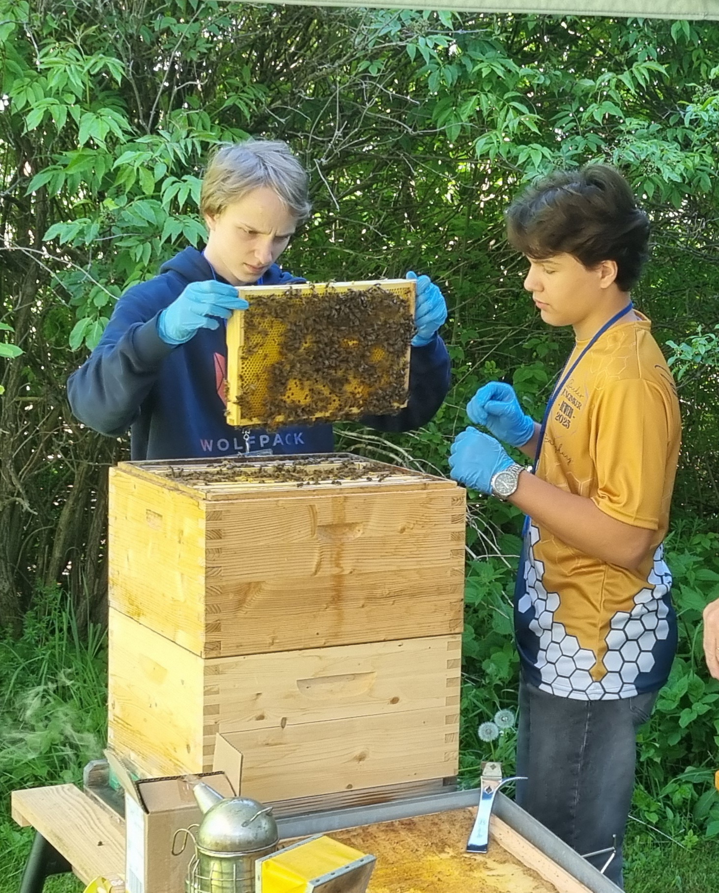 Imker-Jungtalent aus Simmering überzeugt beim Bundesbewerb