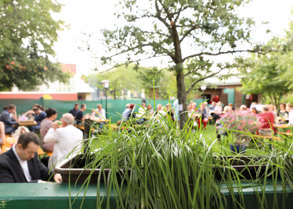 Austropop, Broadway & Evergrins: Stars in der Tschauner