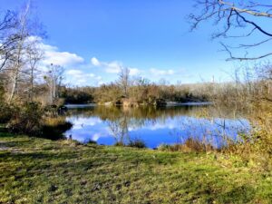 Die Lieblingsplätze unserer Leser im 22. Bezirk