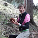 UG0425_Wandern Schwammerlsuche_Moser-Pröll_c_privat