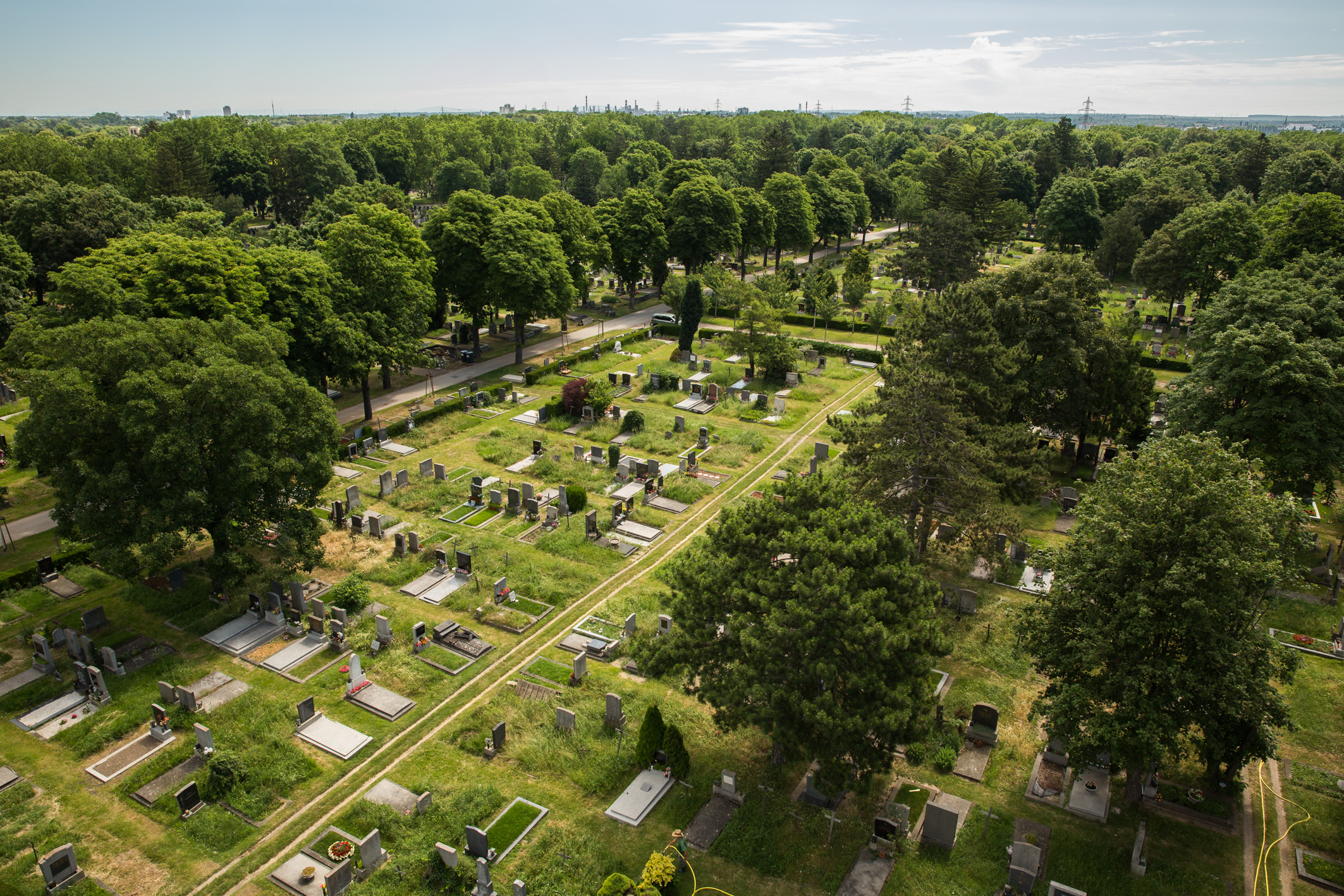 Tipps bei Hitze: Cool bleiben auf den Wiener Friedhöfen