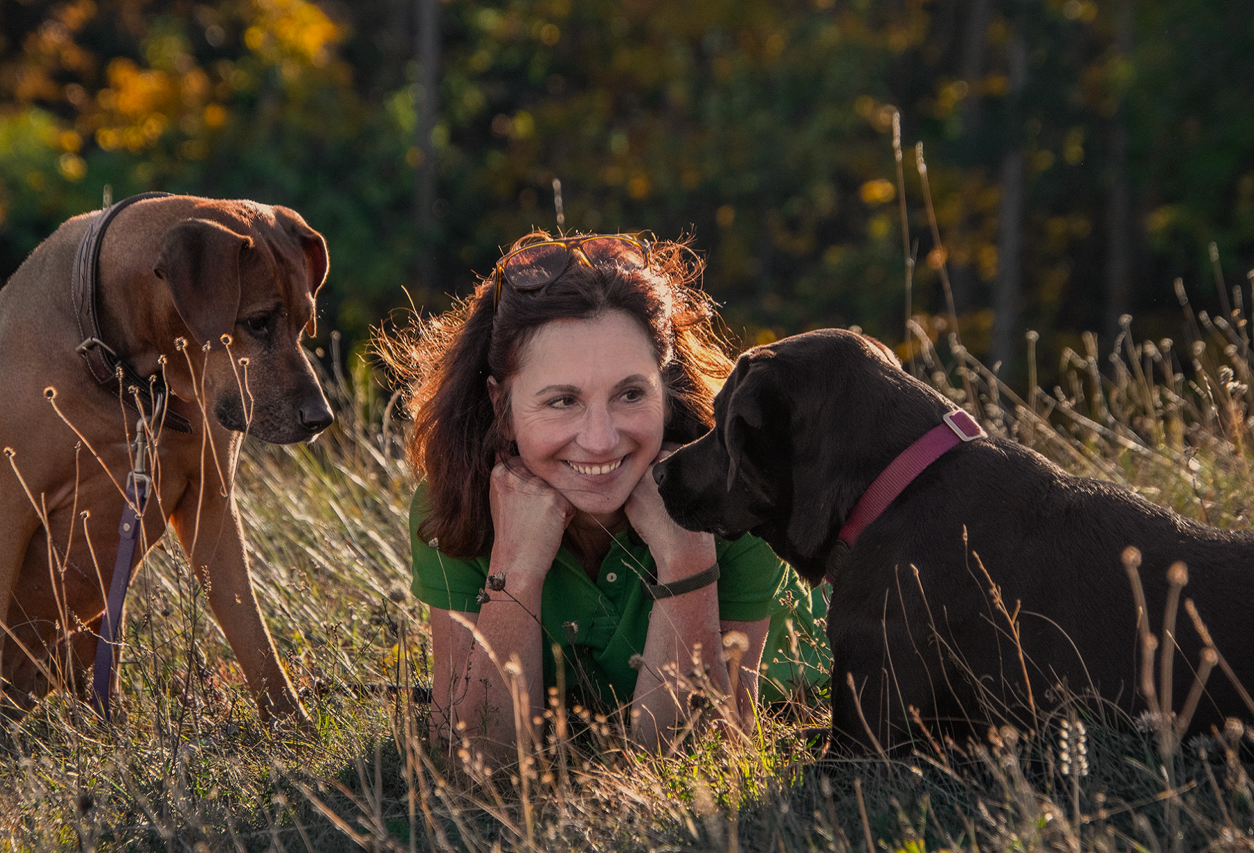 Hunde-Coach in Liesing: Gratis-Training mit dem besten Freund