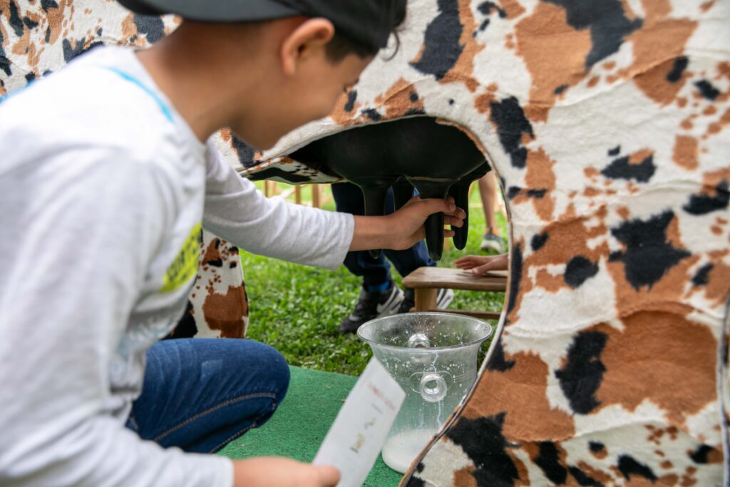 ernte.dank.festival.