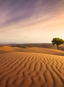 Wüste Sonnenuntergang