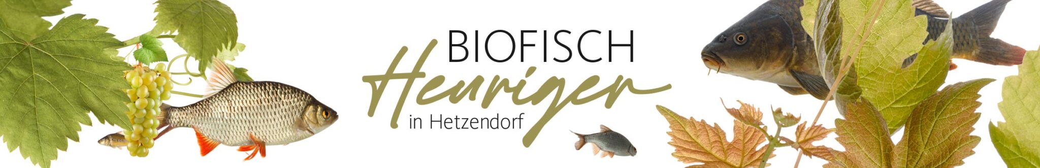 Biofisch Bistro & Heuriger