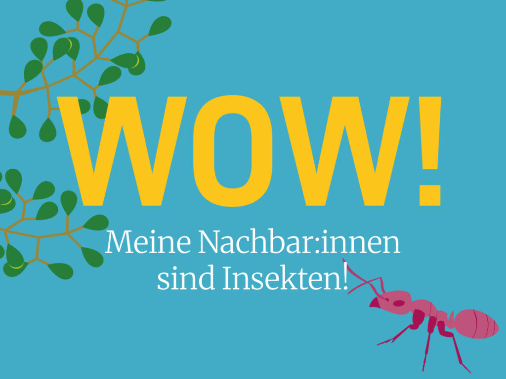 Die Outdoor-Workshops Biodiversität in der Stadt fördern Teamwork, Kreativität und Respekt vor allen Lebewesen. © Verein Krawall