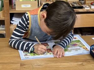 Astrid-Lindgren-Zentrum in Liesing lädt zum Tag der offenen Tür