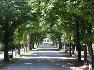 Schattige Alleen laden im Augarten zum Durchatmen und Pausemachen ein. © ÖBG