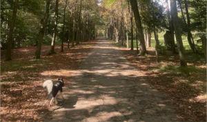 Die Lieblingsplätze von Redakteur Ernst Georg Berger