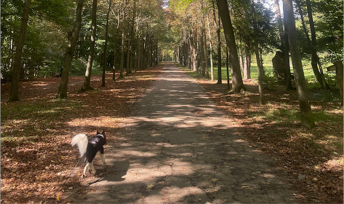 Die Lieblingsplätze von Redakteur Ernst Georg Berger