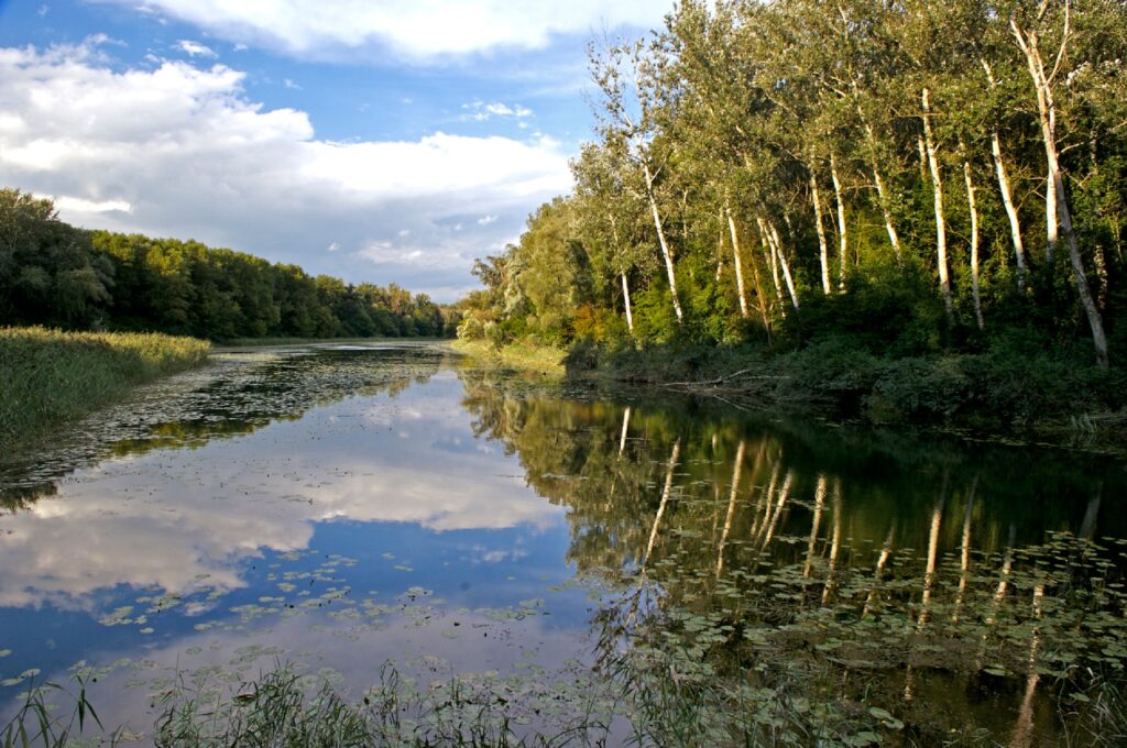 Lobau © Nationalpark Donau Auen/Kovacs