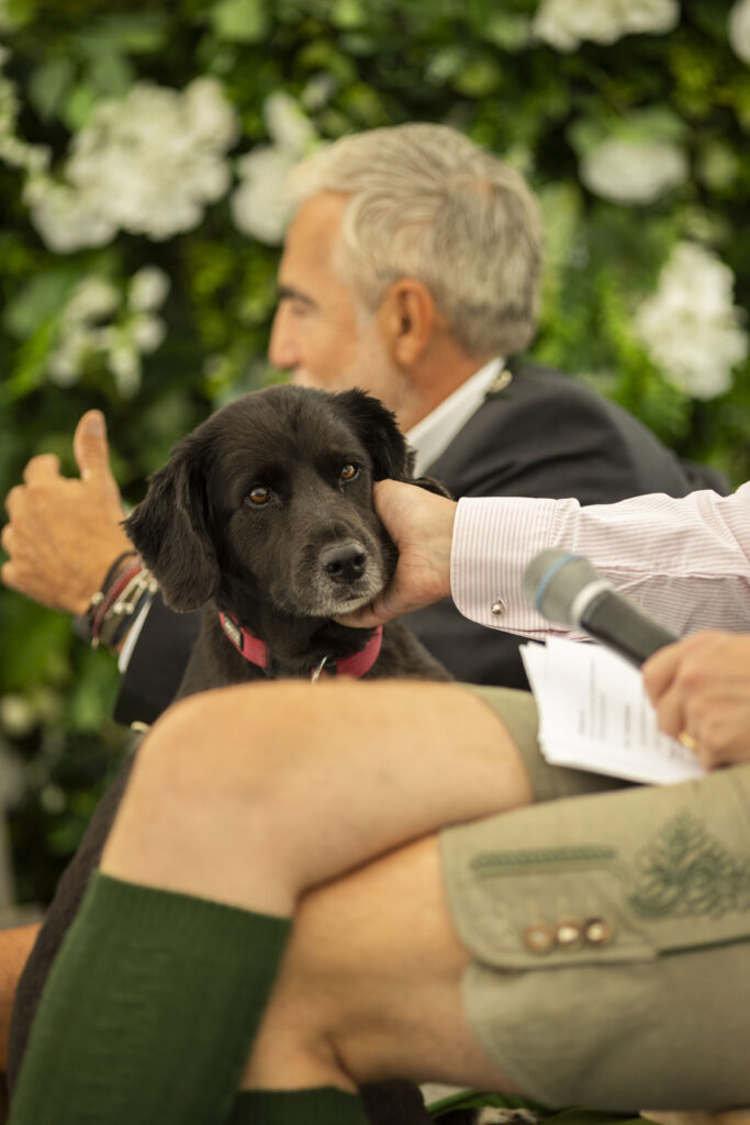 Freiner Wirtschaftstage