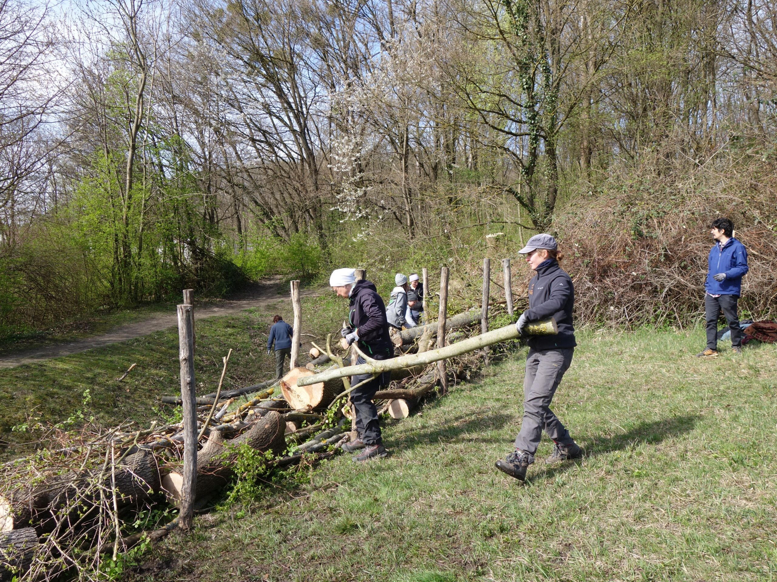 Pflege-Einsatz: “Mutter Natur” braucht unsere Hilfe