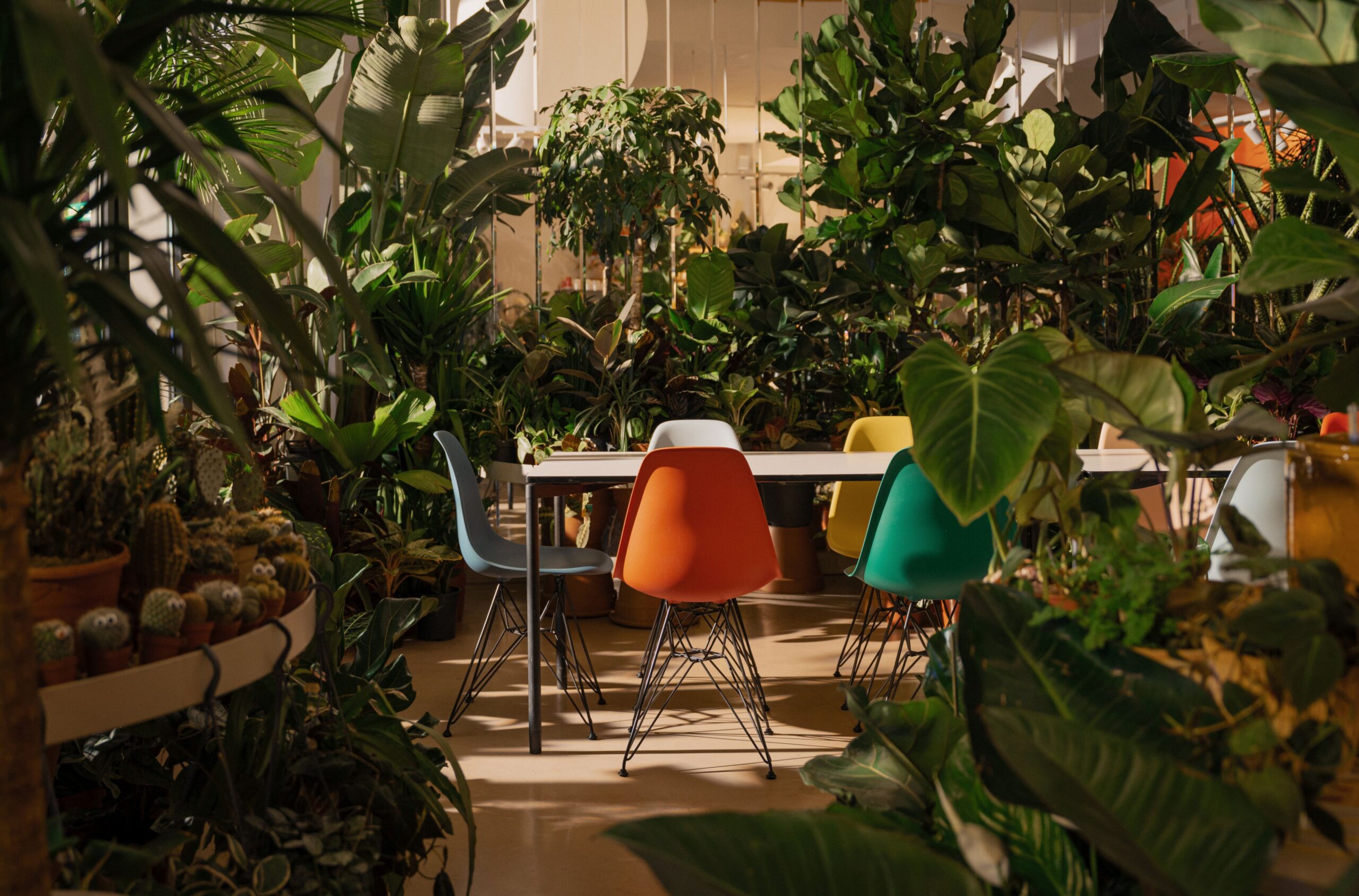 Greenhaus: Vitra und Calienna vereinen Design und Natur in Neubau